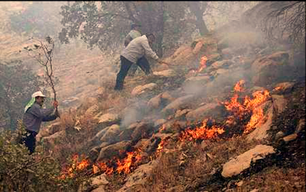 جنگل‌های مازندران ۶ روز است که در آتش می سوزد