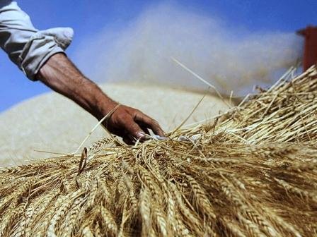 عدم توانایی بانک های خراسان شمالی برای کمک مالی به کشاورزان