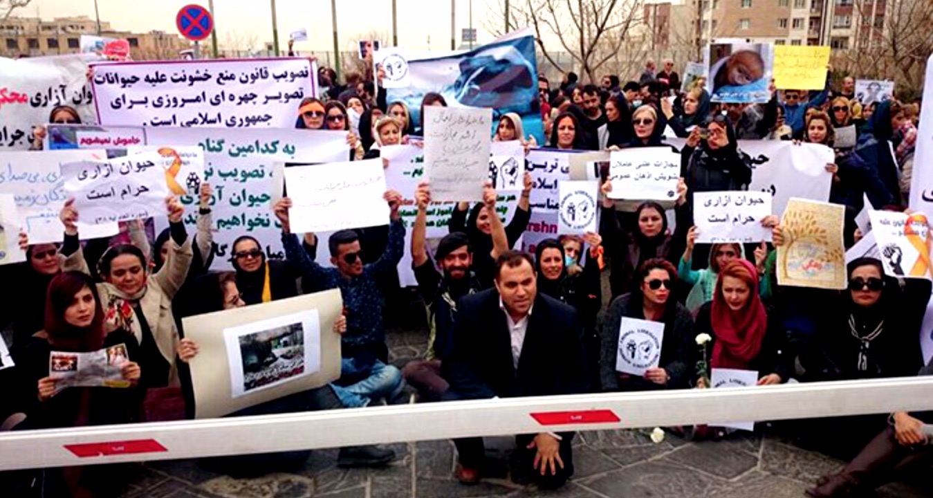 تجمع اعتراضی به آزار حیوانات در ایران