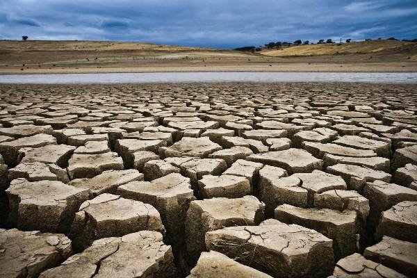 کسری مخازن آب، امنیت غذایی سیستان وبلوچستان را به مخاطره انداخته است