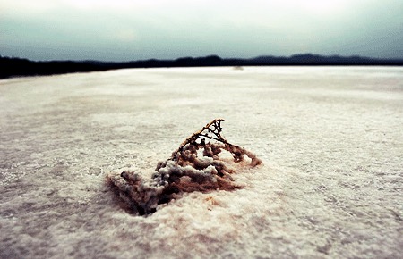 تأثیر گرد و غبار دریاچه نمک قم بر یک چهارم جمعیت کشور