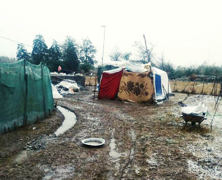 زمین‌خوارها نخوانند؛ ماجرای خانواده‌ای که در این سرما در چادر زندگی می‌کنند!
