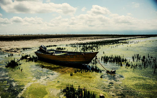خلیج گرگان آلوده شده و در آستانه خشک شدن است