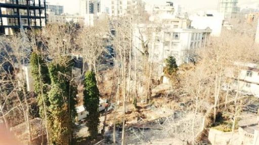 قطع درختان در خیابان فرشته تهران