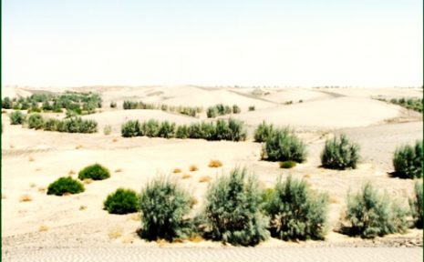 ۸۰ درصد سیستان و بلوچستان تحت تاثیر خشکسالی است
