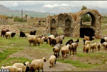 بلاد شاپور از آثار باستانی دوره ساسانی در معرض تخریب جدی