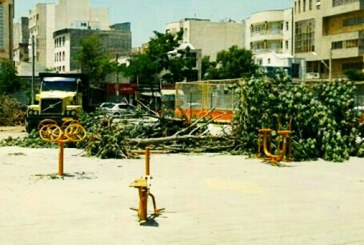 قطع درختان در پارک آذربایجان اردبیل