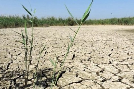 مرگ تدریجی تالاب گری بلمک پلدختر